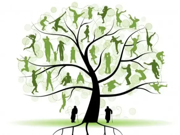 Travailler sur le corps et les mémoires ancestrales pour retrouver ancrage et stabilité.